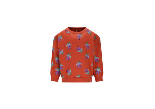 The New Chapter The New Chapter Bobbie sweater Frogs