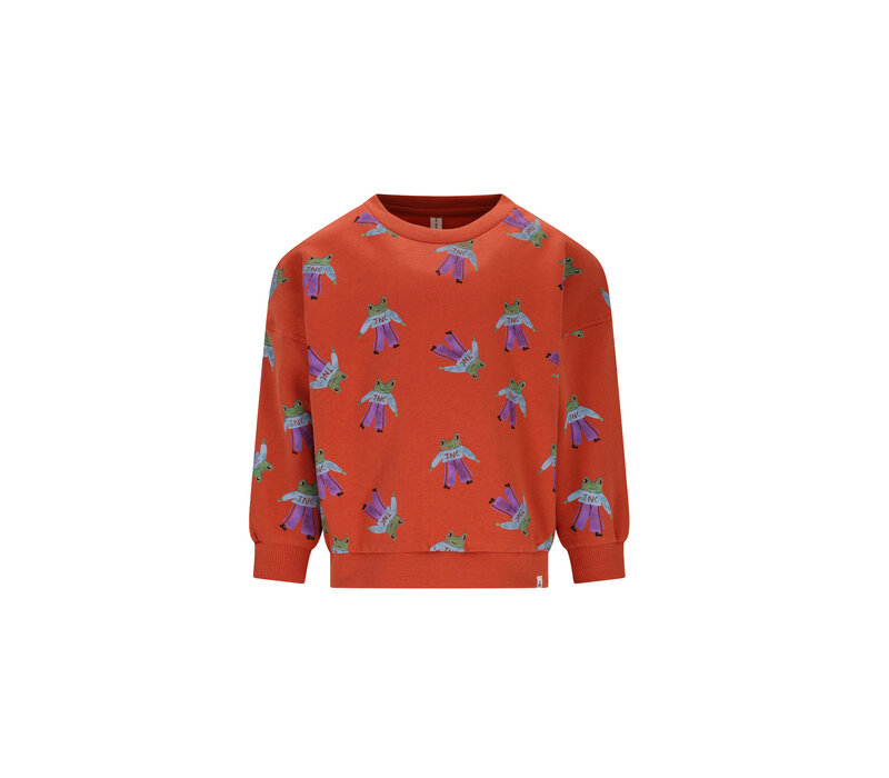 The New Chapter Bobbie sweater Frogs
