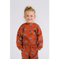 The New Chapter Bobbie sweater Frogs