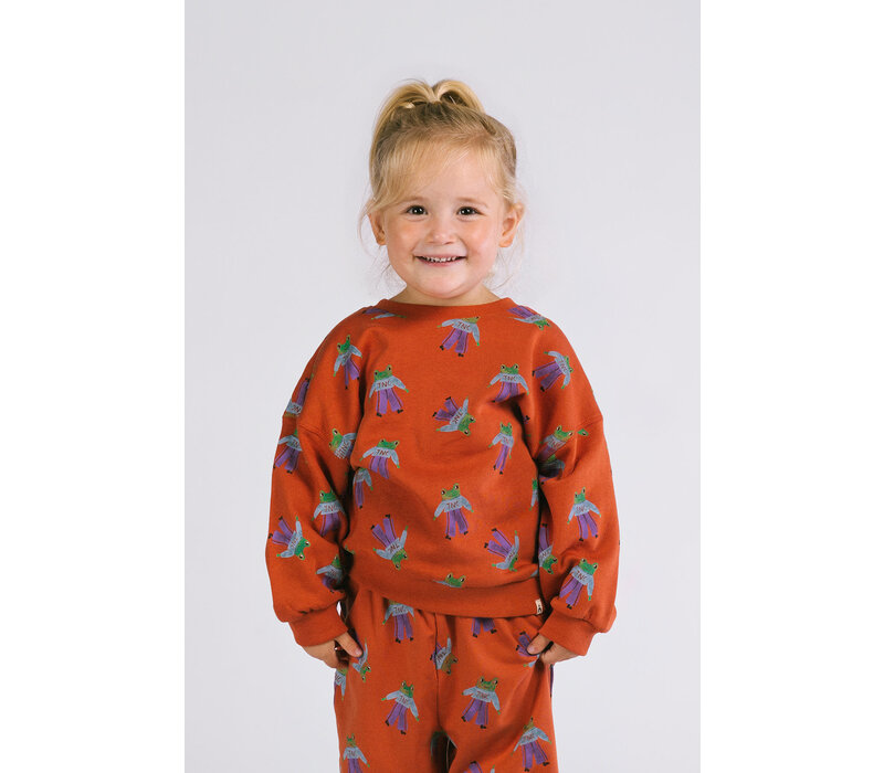 The New Chapter Bobbie sweater Frogs