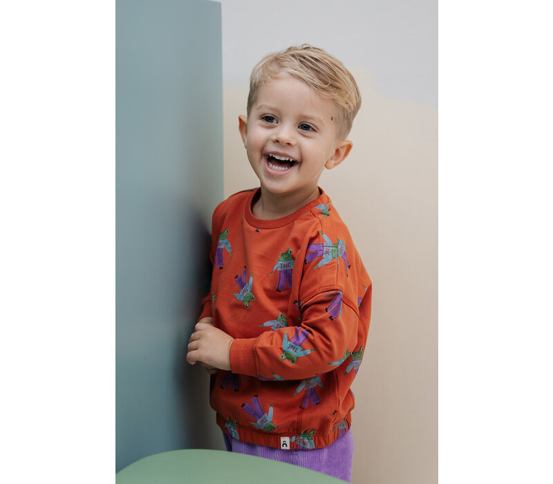 The New Chapter Bobbie sweater Frogs