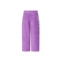 The New Chapter Atlas pants Bellflower