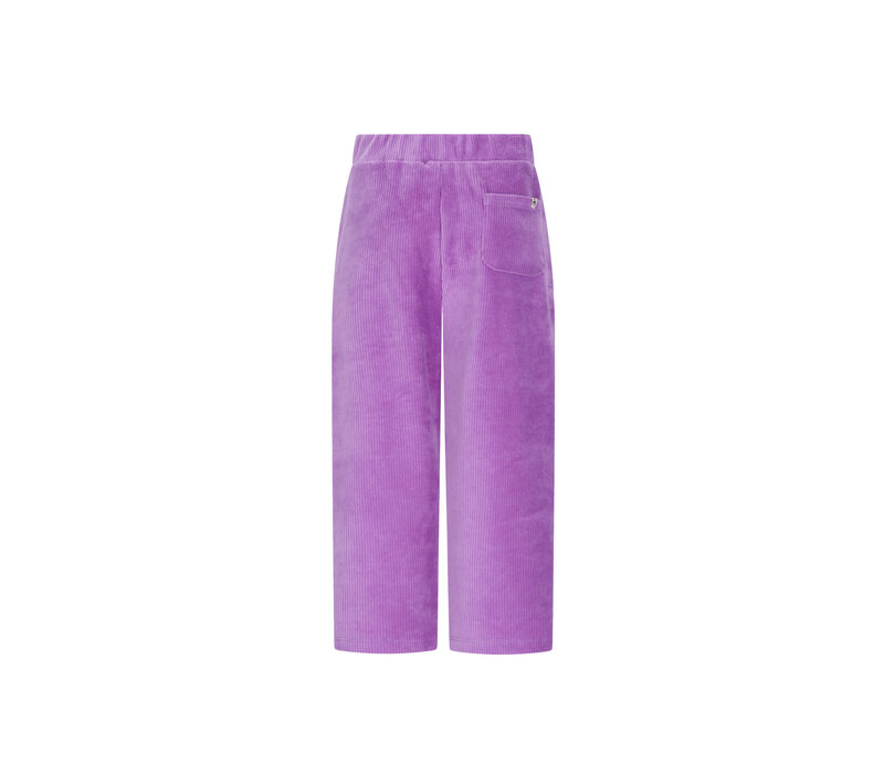 The New Chapter Atlas pants Bellflower