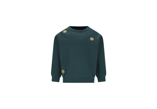 The New Chapter The New Chapter Bille sweater Jasper Green