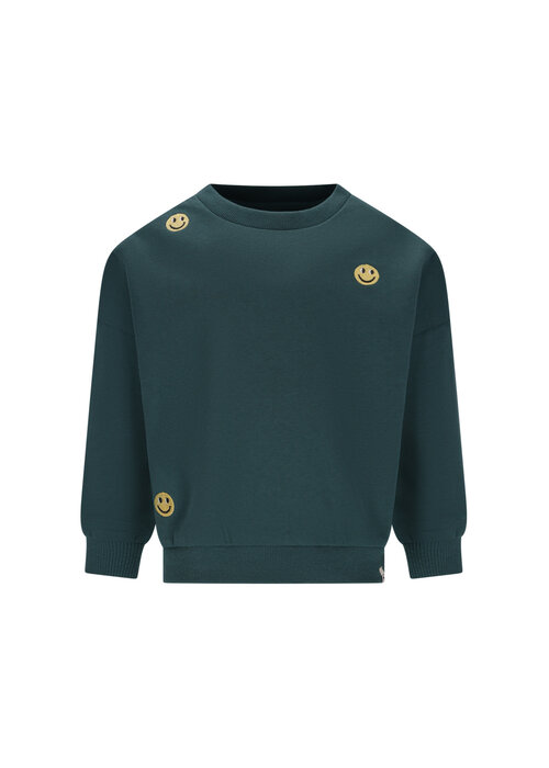 The New Chapter The New Chapter Bille sweater Jasper Green