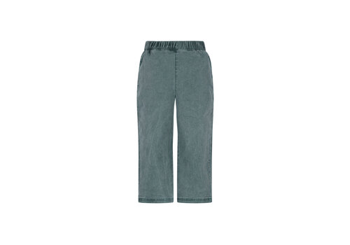 The New Chapter The New Chapter Atlas denim pants Jasper Green