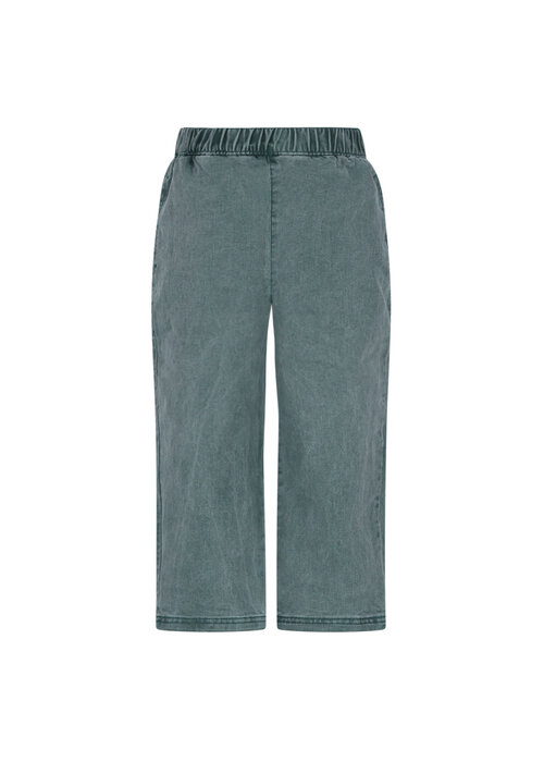 The New Chapter The New Chapter Atlas denim pants Jasper Green
