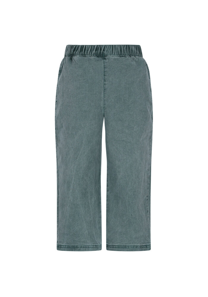 The New Chapter Atlas denim pants Jasper Green