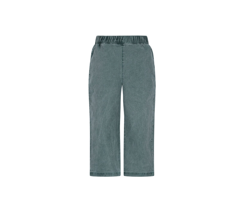 The New Chapter Atlas denim pants Jasper Green