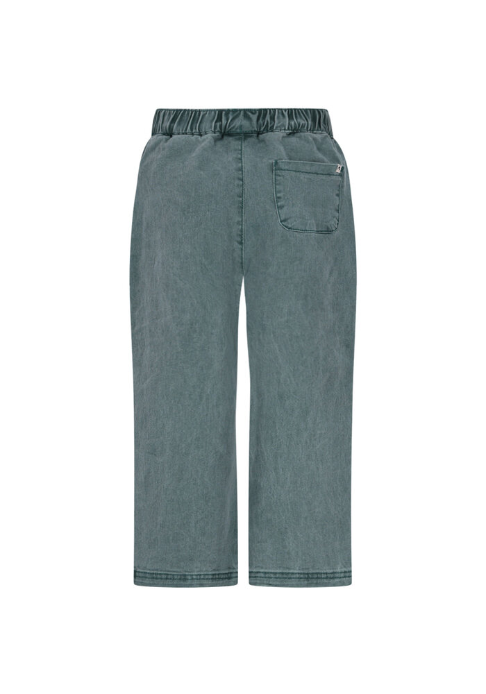 The New Chapter Atlas denim pants Jasper Green