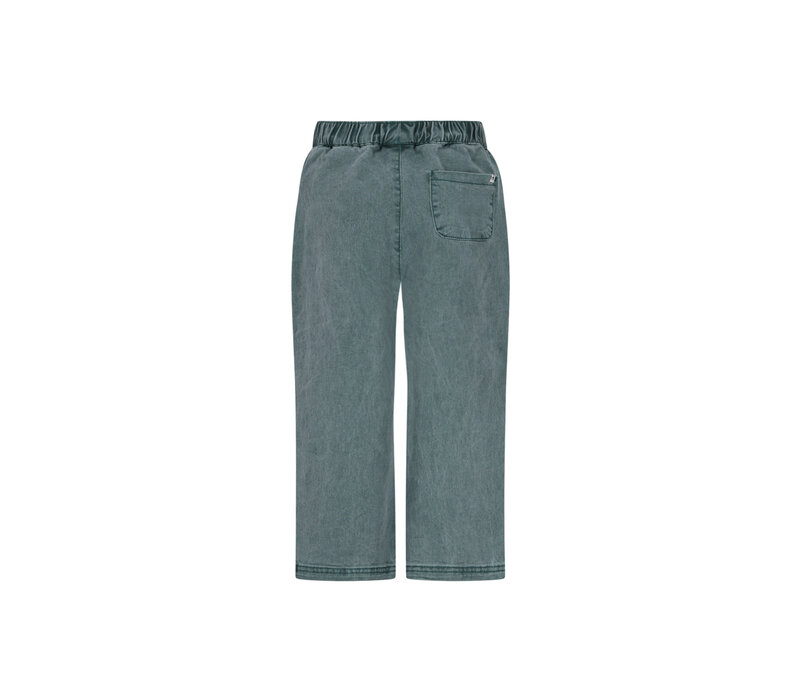 The New Chapter Atlas denim pants Jasper Green