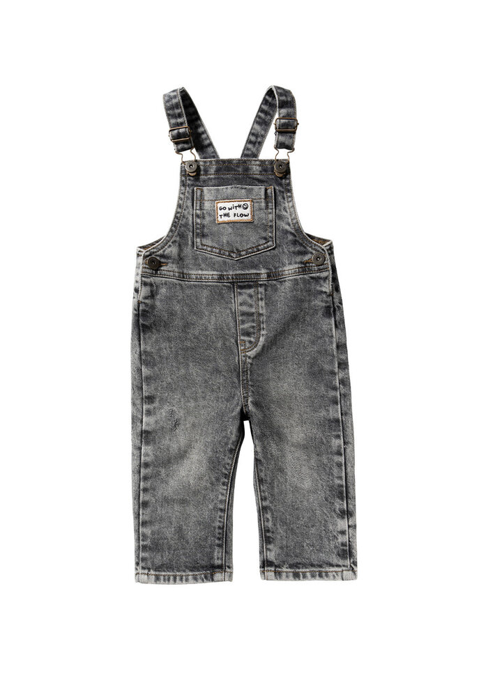 Your Wishes Denim | Dungarees Acid Grey