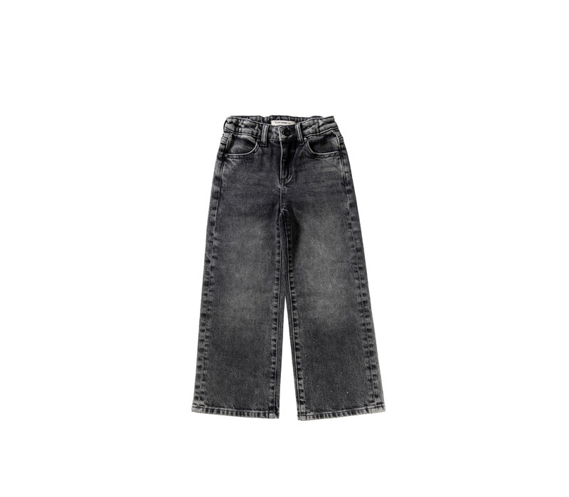 Your Wishes Stretch Denim | Wide Leg Glitter Jeans Acid Grey