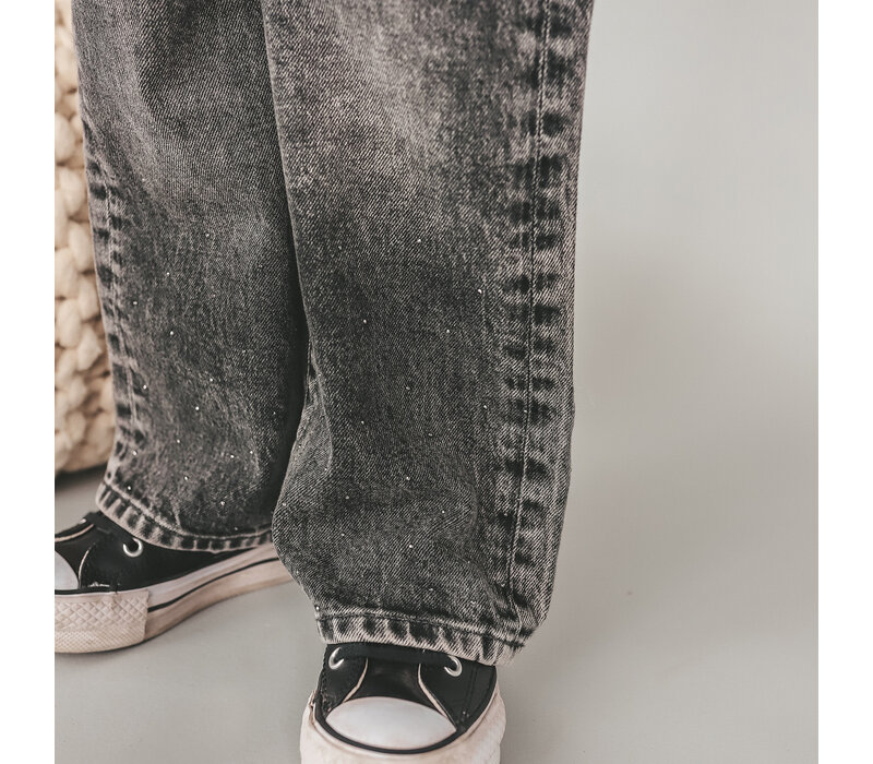 Your Wishes Stretch Denim | Wide Leg Glitter Jeans Acid Grey