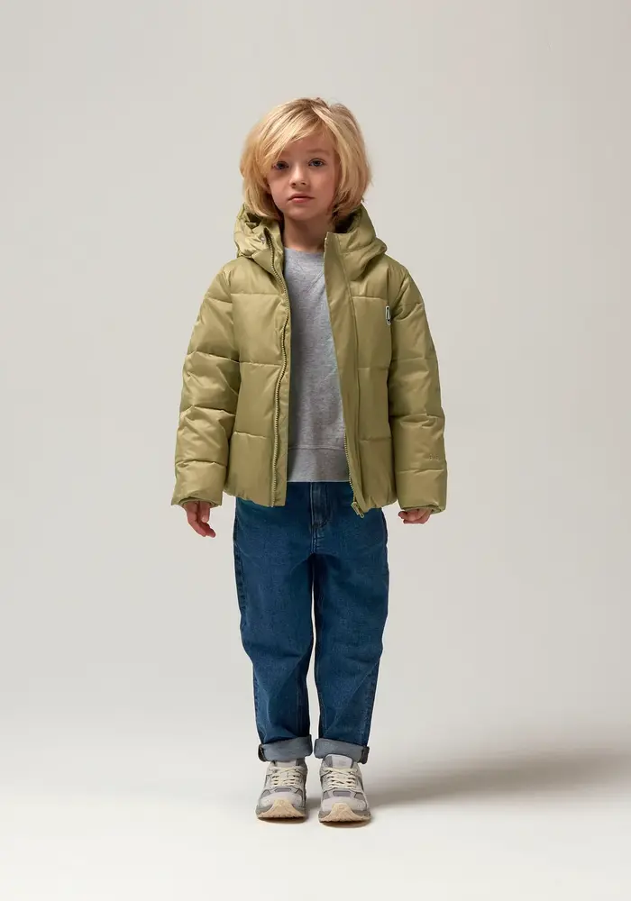 Gosoaky DRAGON EYE gray green