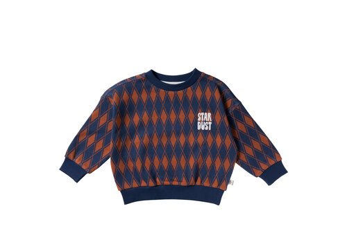 Your Wishes Your Wishes Checker | Wide Sweater Multicolor