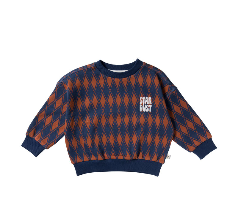 Your Wishes Checker | Wide Sweater Multicolor