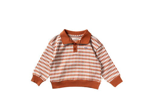 Your Wishes Your Wishes Ziggy | Relaxed Polo Multicolor