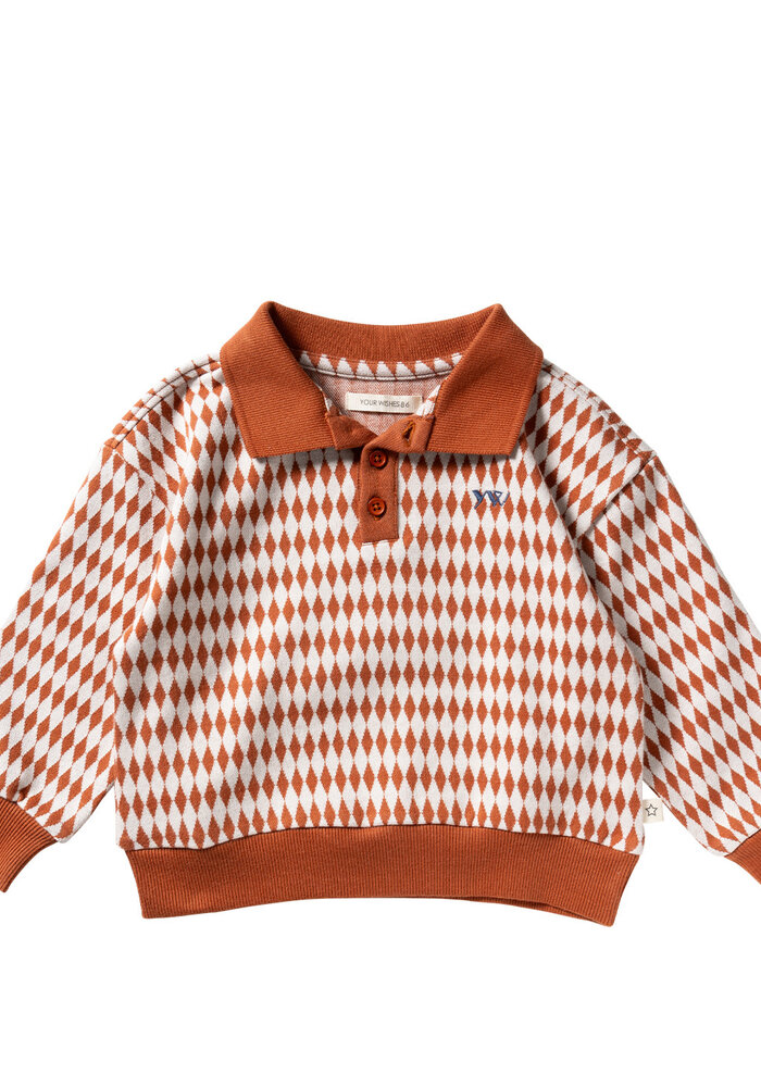 Your Wishes Ziggy | Relaxed Polo Multicolor