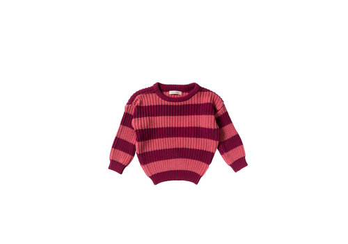 Your Wishes Your Wishes Stripe Knit | Chunky Sweater Desert Rose