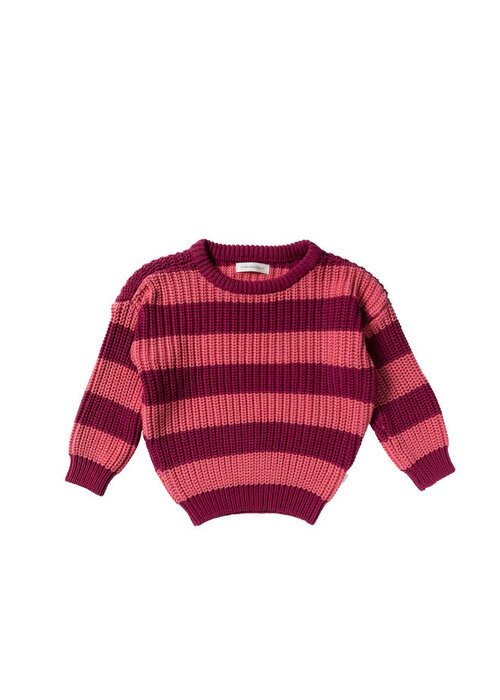 Your Wishes Your Wishes Stripe Knit | Chunky Sweater Desert Rose