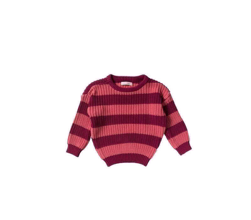 Your Wishes Stripe Knit | Chunky Sweater Desert Rose