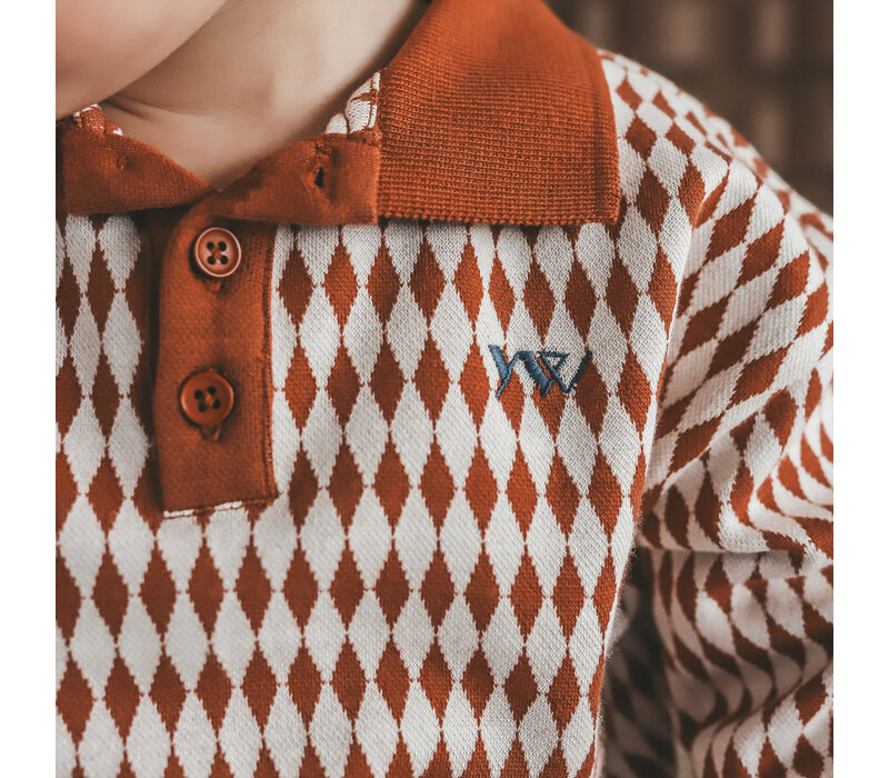 Your Wishes Ziggy | Relaxed Polo Multicolor