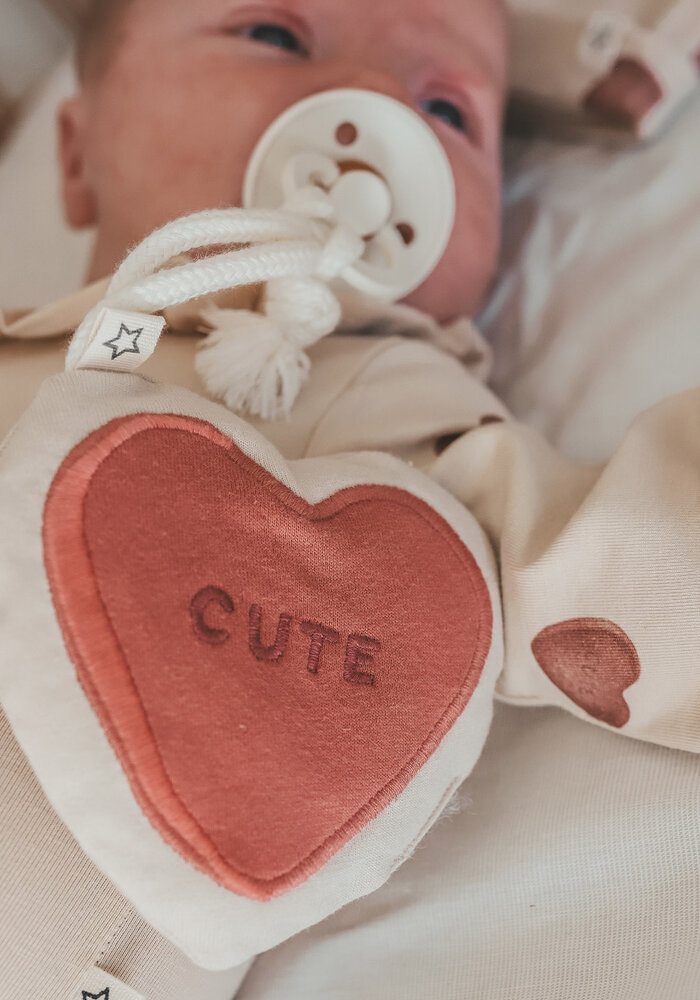 Your Wishes Pacifier Cord Hanger | Candy Withered Rose