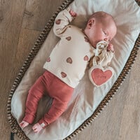 Your Wishes Solid | Legging Withered Rose