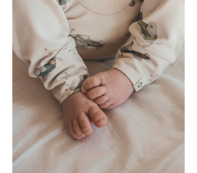 Your Wishes Avion | Fitted Pants Birch