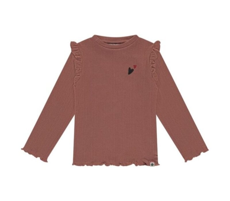 Stains and Stories girls t-shirt long sleeve Velvet Rose