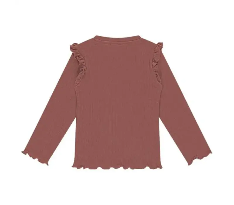 Stains and Stories girls t-shirt long sleeve Velvet Rose