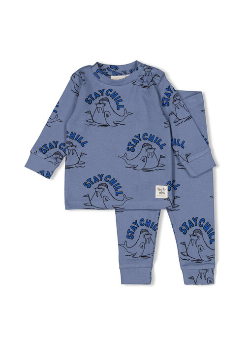 Feetje Willy Walrus - Premium Sleepwear by Feetje