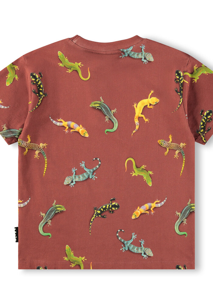 Molo Riley Geckos Sanguine