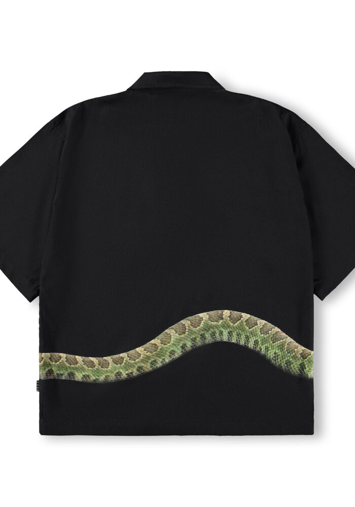 Molo Richie Green Rattle