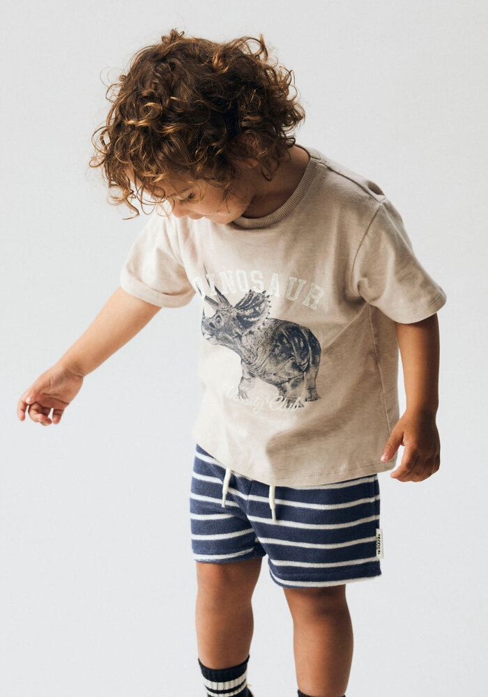 Name It NMMFINTI NREG TERRY SHORTS BOX Vintage Indigo