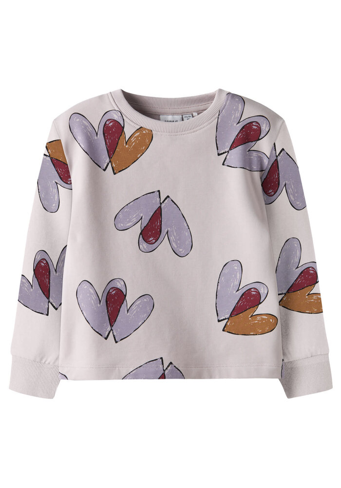 Name It NMFTEART LS NREG SWEAT BRU Lilac Marble