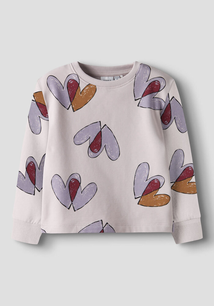 Name It NMFTEART LS NREG SWEAT BRU Lilac Marble