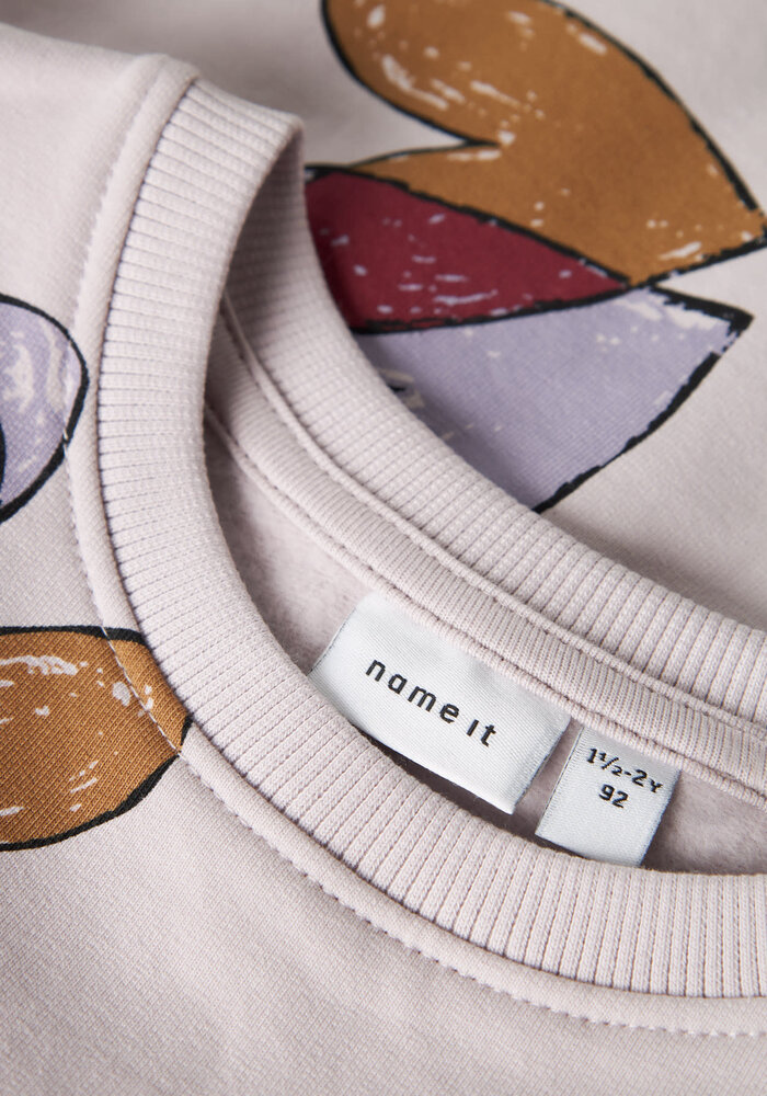 Name It NMFTEART LS NREG SWEAT BRU Lilac Marble