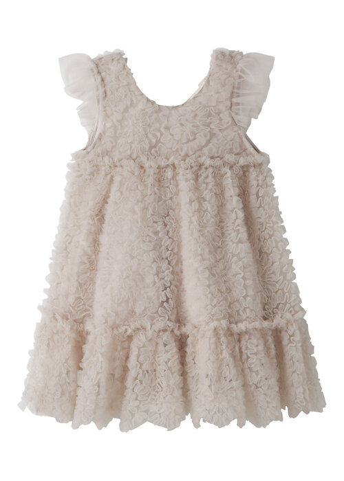 Lil' Atelier Lil' Atelier NMFFAUNA CAPSL TULLE DRESS LIL Pumice Stone