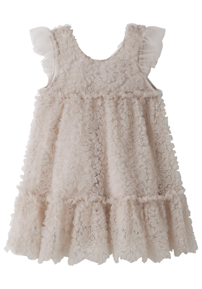 Lil' Atelier NMFFAUNA CAPSL TULLE DRESS LIL Pumice Stone