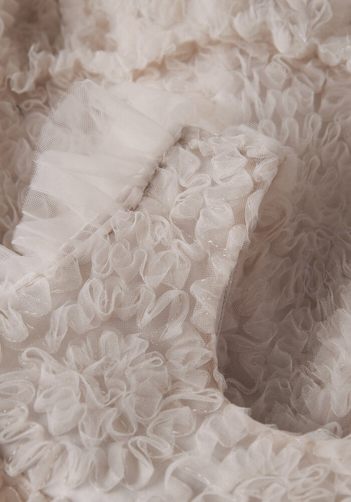 Lil' Atelier NMFFAUNA CAPSL TULLE DRESS LIL Pumice Stone