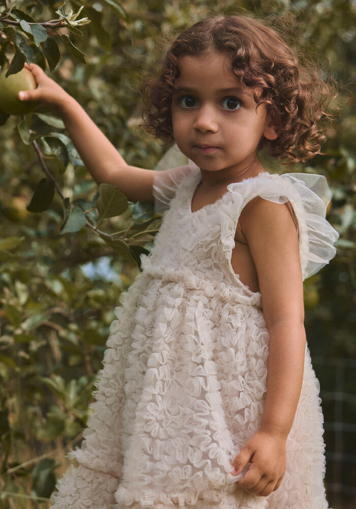 Lil' Atelier NMFFAUNA CAPSL TULLE DRESS LIL Pumice Stone