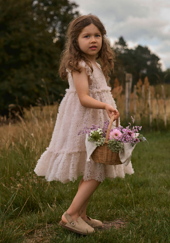 Lil' Atelier NMFFAUNA CAPSL TULLE DRESS LIL Pumice Stone