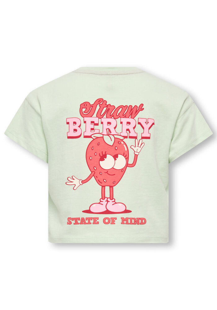 Only Kids KMGBELINDA LIFE SS REG PRINTED TEE JRS Green Lily Strawberry