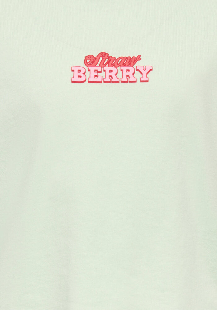 Only Kids KMGBELINDA LIFE SS REG PRINTED TEE JRS Green Lily Strawberry