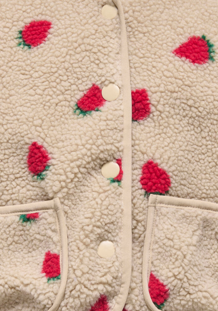 Only Kids KMGHOKY L/S TEDDY JACKET OTW NOOS Silver Mink Strawberry/Lining Barbados Cherry