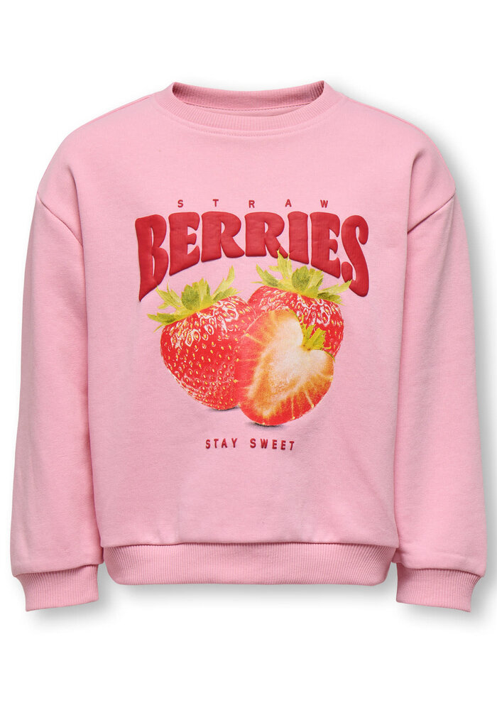 Only Kids KMGSINA LS LOOSE PRINTED O-NECK UB SWT Romance Rose Strawberry