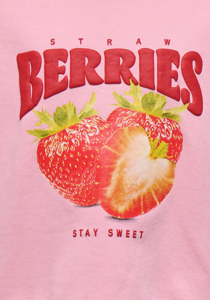 Only Kids KMGSINA LS LOOSE PRINTED O-NECK UB SWT Romance Rose Strawberry