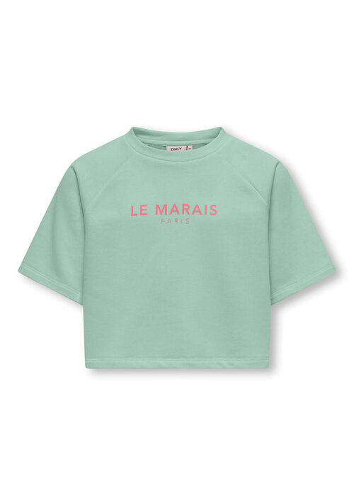 Only Kids Only Kids KOGCORA S/S PRINT O-NECK UB CS SWT Aqua Foam Le Marais